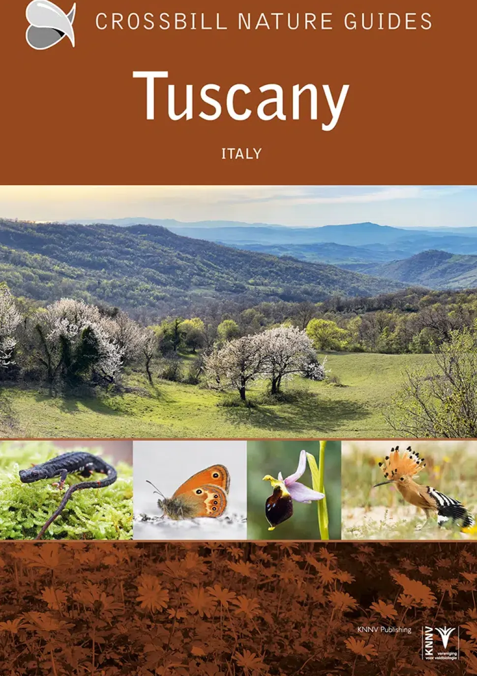 Crossbill guide: Tuscany | Rejseguide