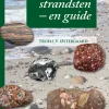 Danske strandsten | Bog