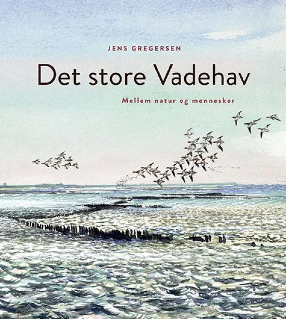 Det store Vadehav af Jens Gregersen | Bog