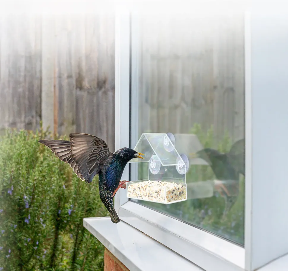 DOF BirdLife 13H Akryl foderhus til vinduet