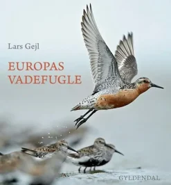 Europas Vadefugle af Lars Gejl | Bog