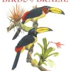Field Guide to Birds of Brazil
