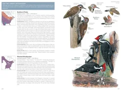 Field Guide to the Birds of the United States and Canada: East | Bog