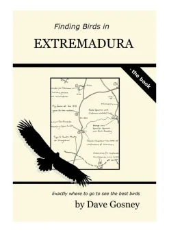 Finding Birds in Extremadura | Rejseguide
