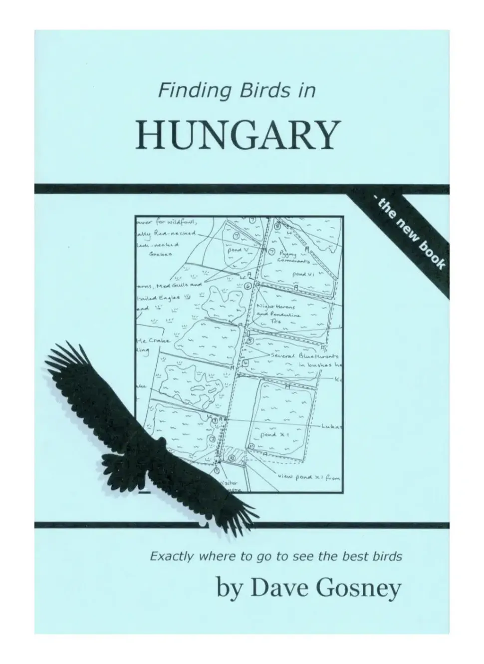 Finding Birds In Hungary | Rejseguide