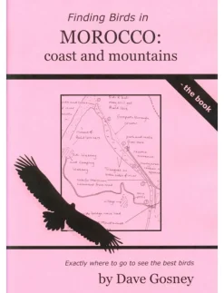 Finding Birds in Morocco: Coast and Mountains | Rejseguide