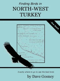 Finding Birds in North-West Turkey | Rejseguide