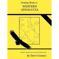 Finding birds in Western Andalucia | Rejseguide