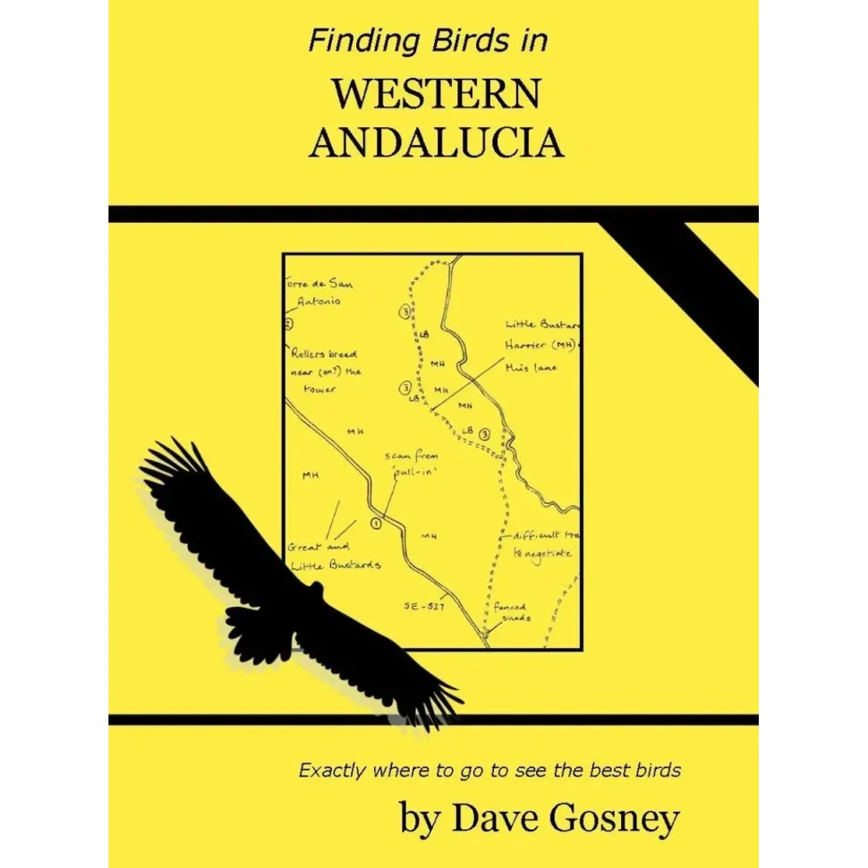 Finding birds in Western Andalucia | Rejseguide