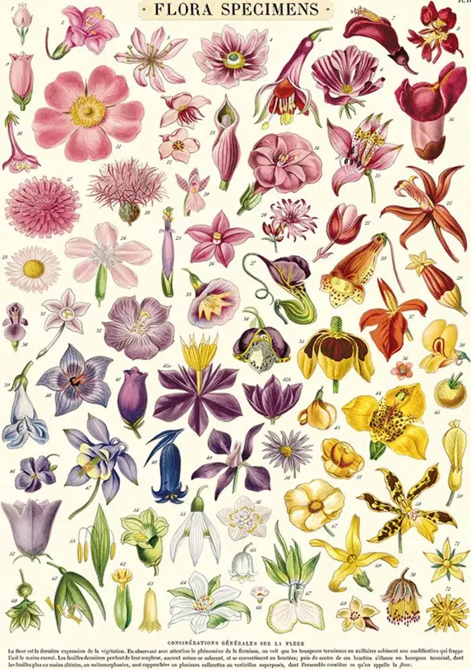 Flora Specimens plakat