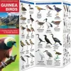 Foldout New Guinea Birds | Folder