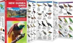 Foldout New Guinea Birds | Folder