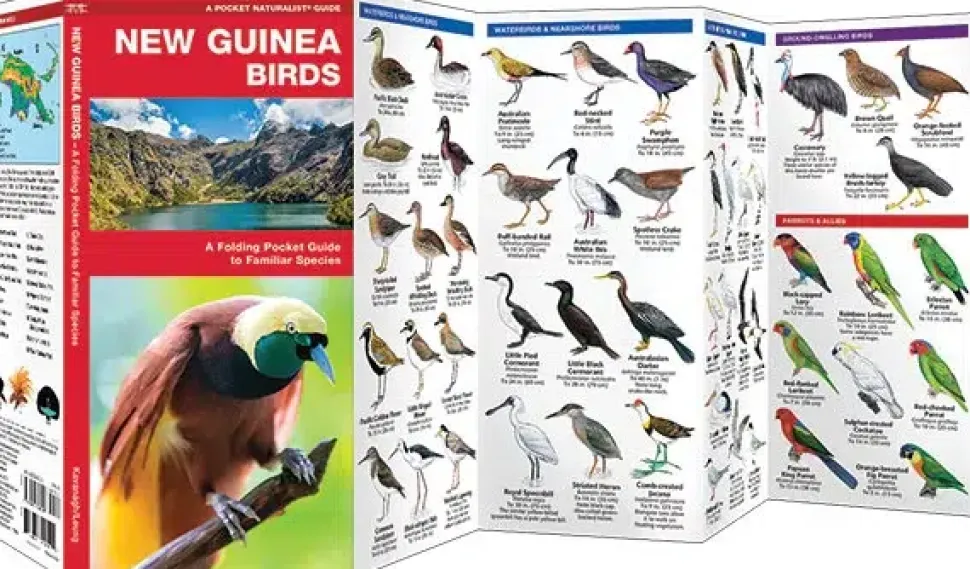 Foldout New Guinea Birds | Folder