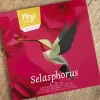 Fold-selv-kolibri