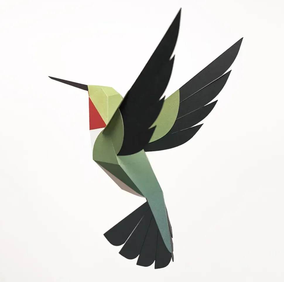 Fold-selv-kolibri