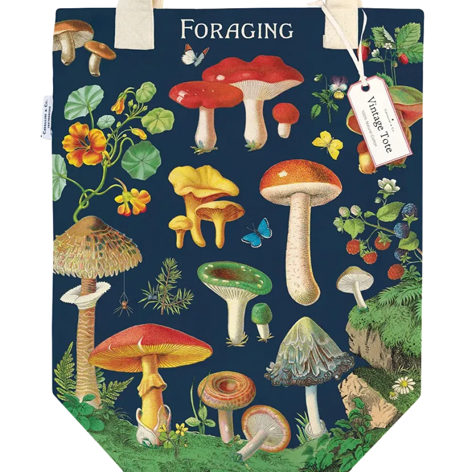 Foraging stofnet