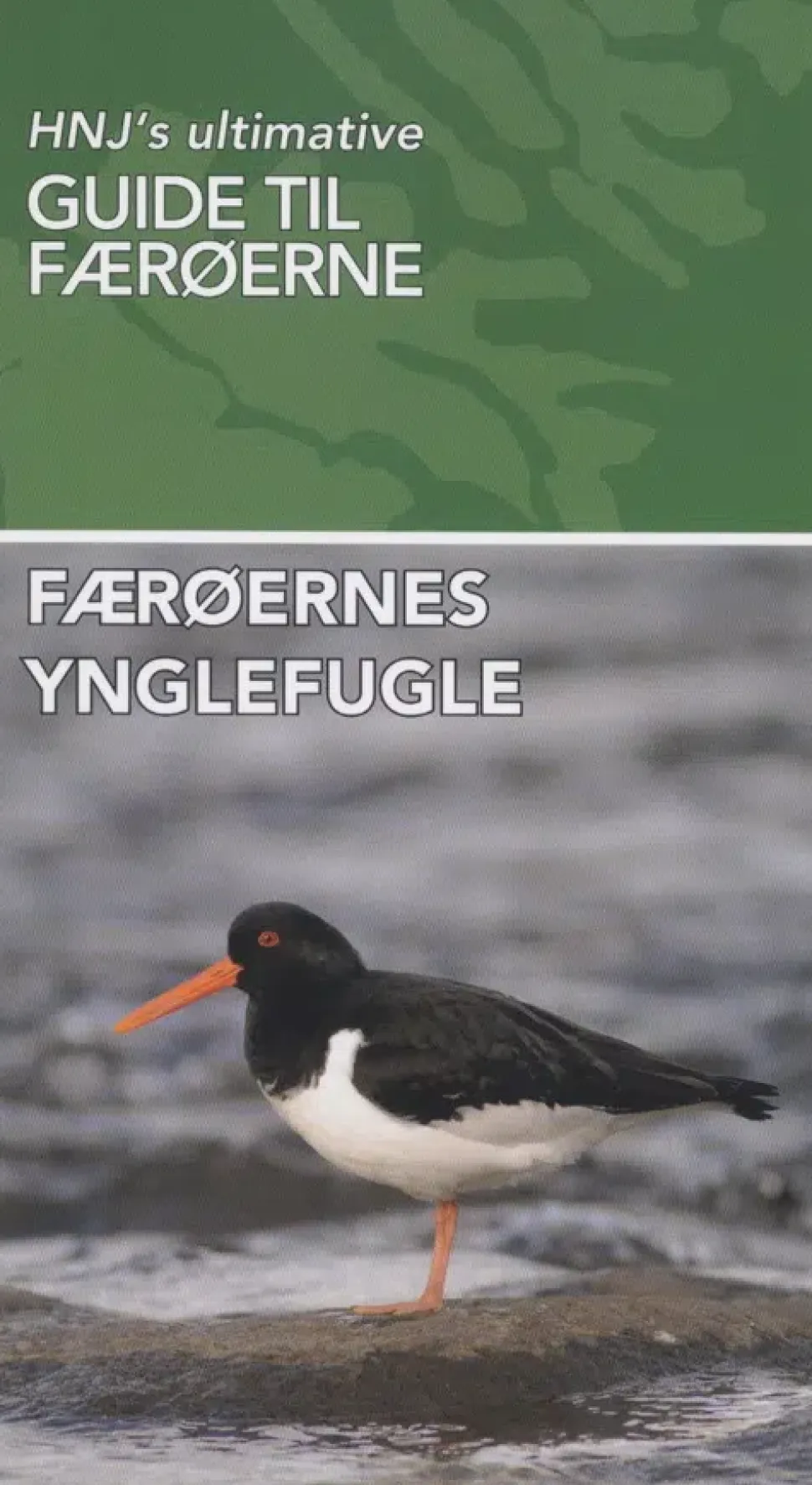 Færøernes Ynglefugle | Bog