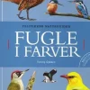 Fugle i farver | Bog