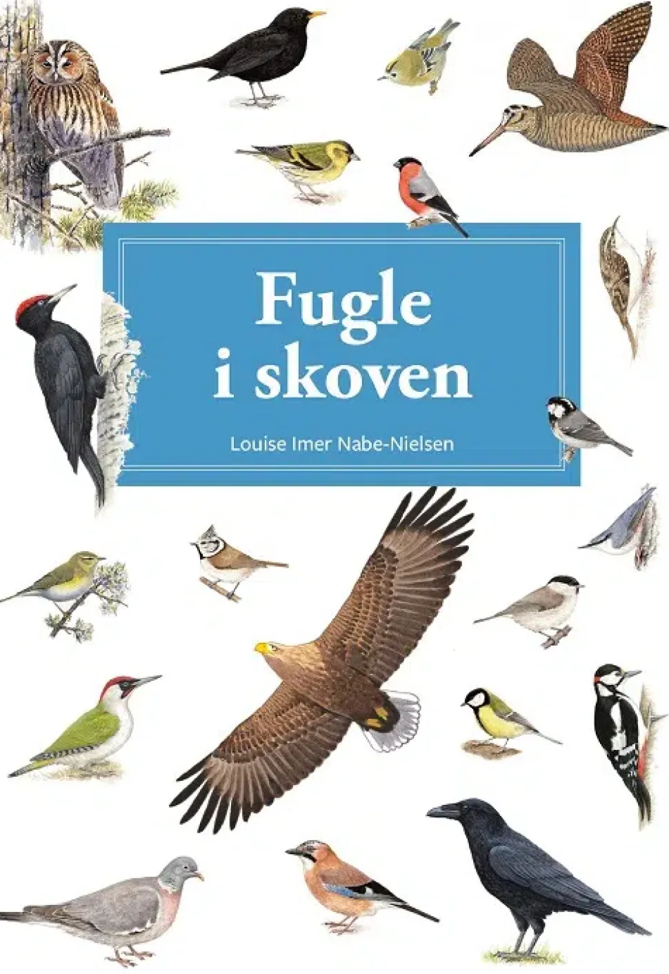 Fugle i skoven | Bog