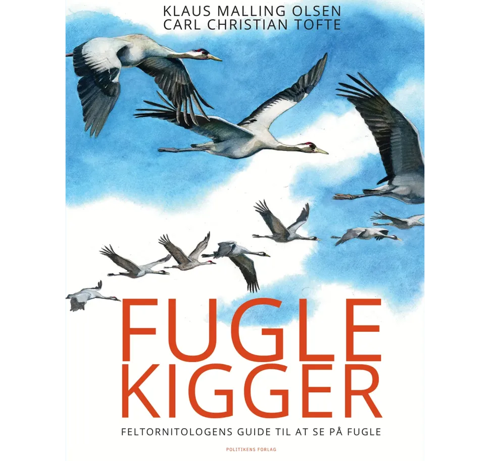 Fuglekigger | Bog