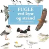 Fugle ved kyst og strand | Bog