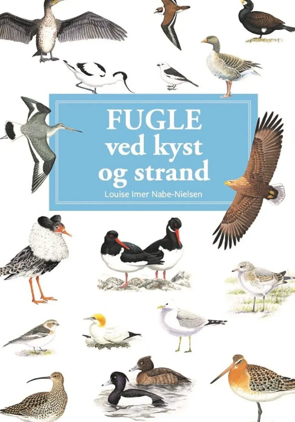 Fugle ved kyst og strand | Bog