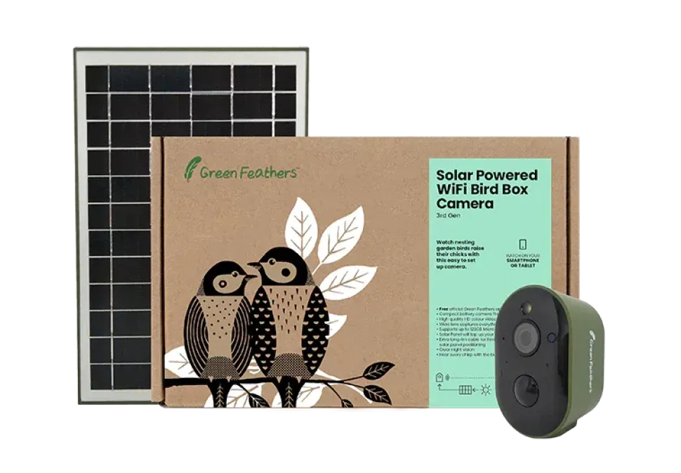 Green Feathers HD WiFi kamera med solcelle til redekasse