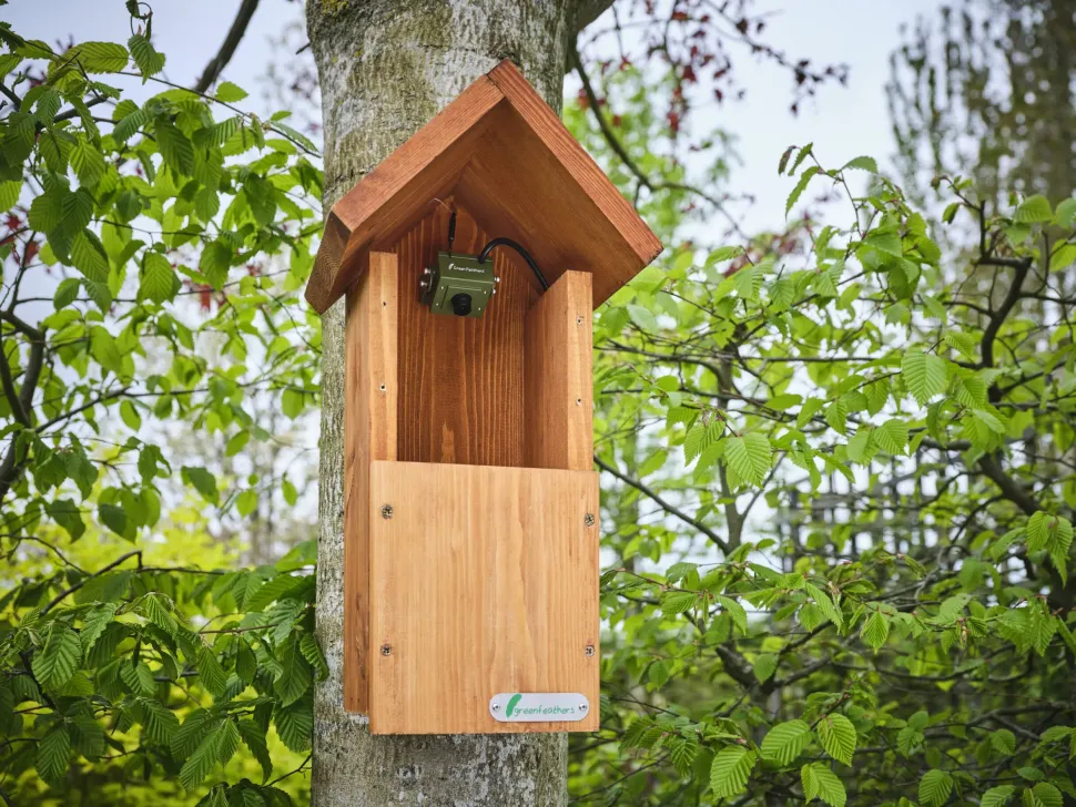 Green Feathers HD WiFi kamera til redekasser