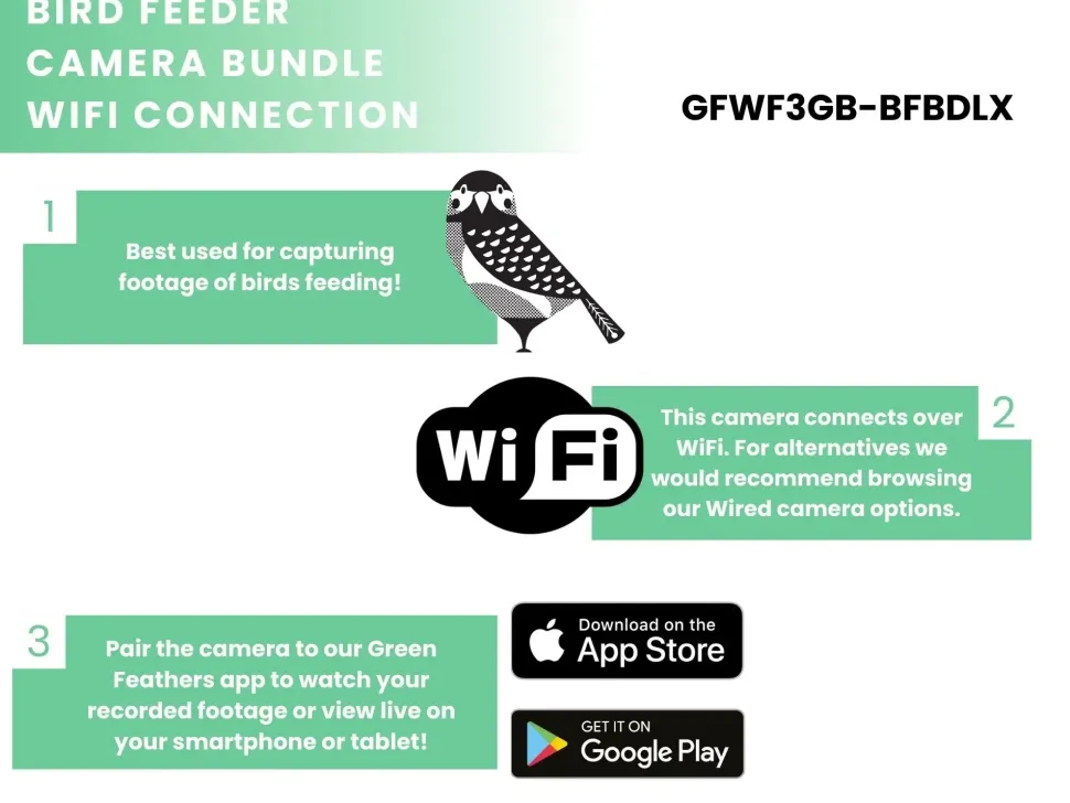 Green Feathers Holder til foderautomat med HD WiFi kamera