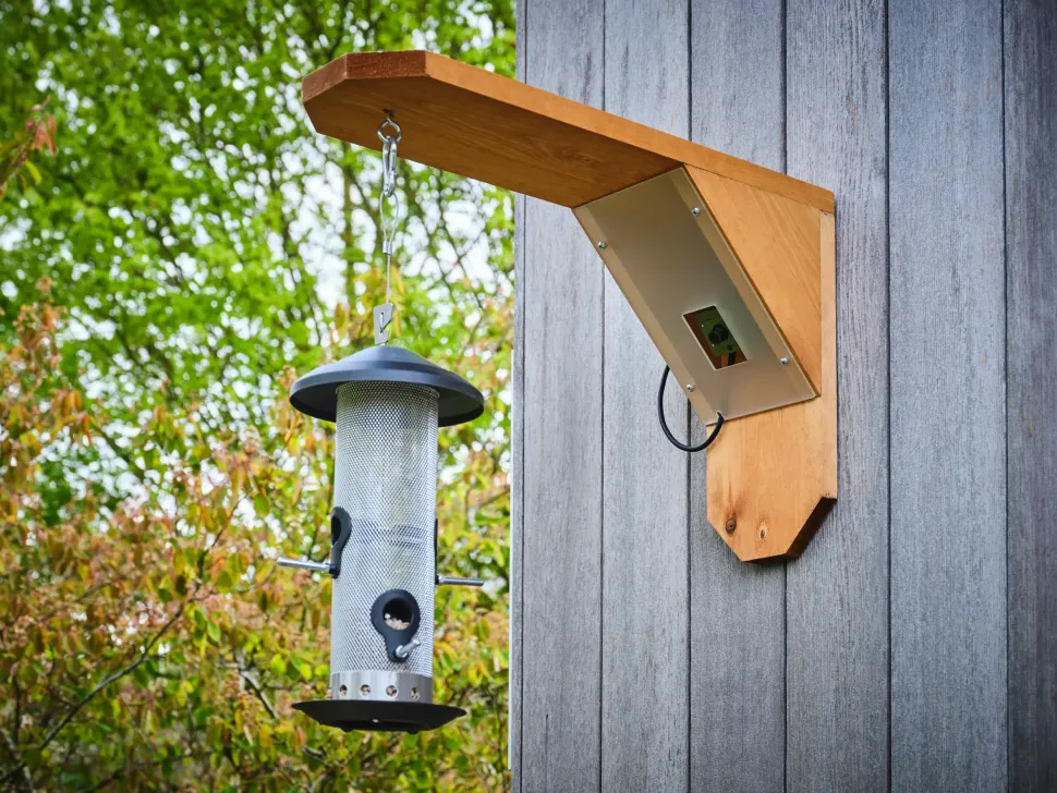 Green Feathers Holder til foderautomat med HD WiFi kamera