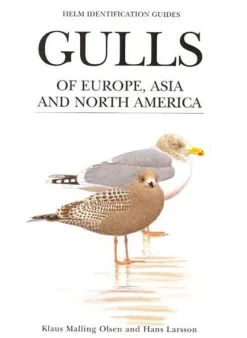 Gulls of Europe, Asia and North America – Klaus Malling Olsen