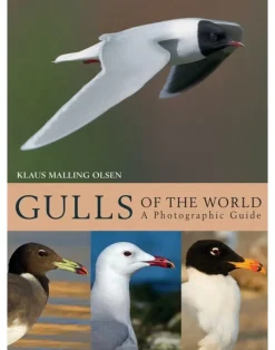 Gulls of the World – A Photographic Guide af Klaus Malling Olsen | Bog