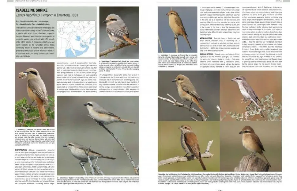 Handbook of Western Palearctic Birds: Passerines – 2 bindsværk af Hadoram Shirihai & Lars Svensson | Bog