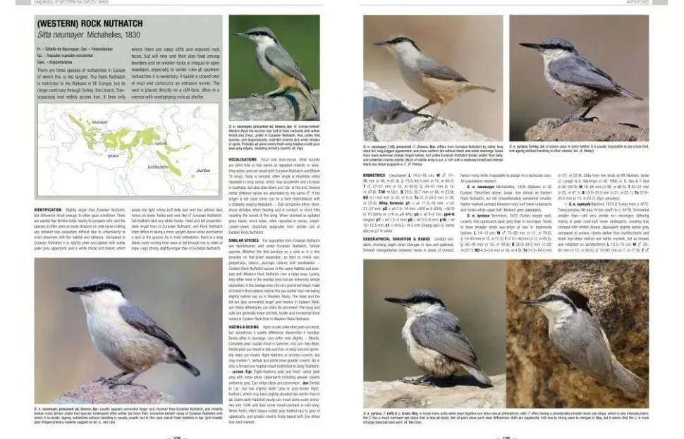 Handbook of Western Palearctic Birds: Passerines – 2 bindsværk af Hadoram Shirihai & Lars Svensson | Bog