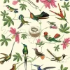 Hummingbirds plakat