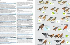 Illustrated checklist of the birds of the world vol. 2: Passerines | Bog