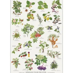 Koustrup & Co. A2 plakat – spiselige vilde frugter af Kirsten Tind
