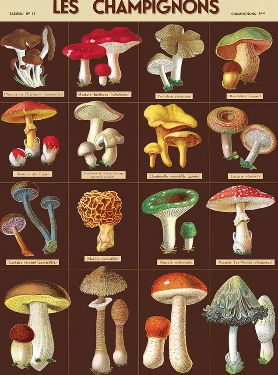 Les Champignons plakat