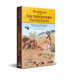 Mammals of the Southwestern United States | Bog