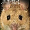 Mammals of the World vol. 7 – Rodent Cricetidae og Muridae | Bog