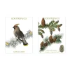 Minikort Jul-Silkehale