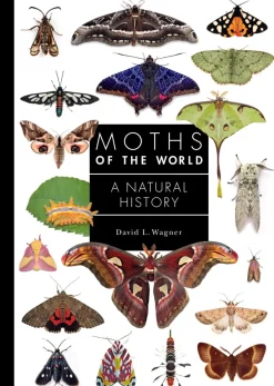 Moths of the World: A Natural History | Bog
