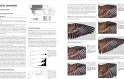 Moult and Ageing of European Passerines 2. udgave | Bog