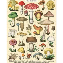 Mushrooms puslespil 240 brikker