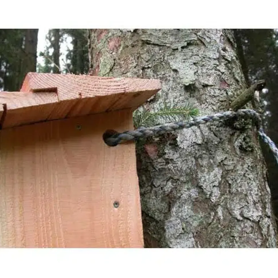 Natugle redekasse i FSC-certificeret douglasgran