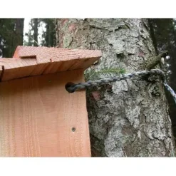 Natugle redekasse med tagpap i FSC-certificeret douglasgran