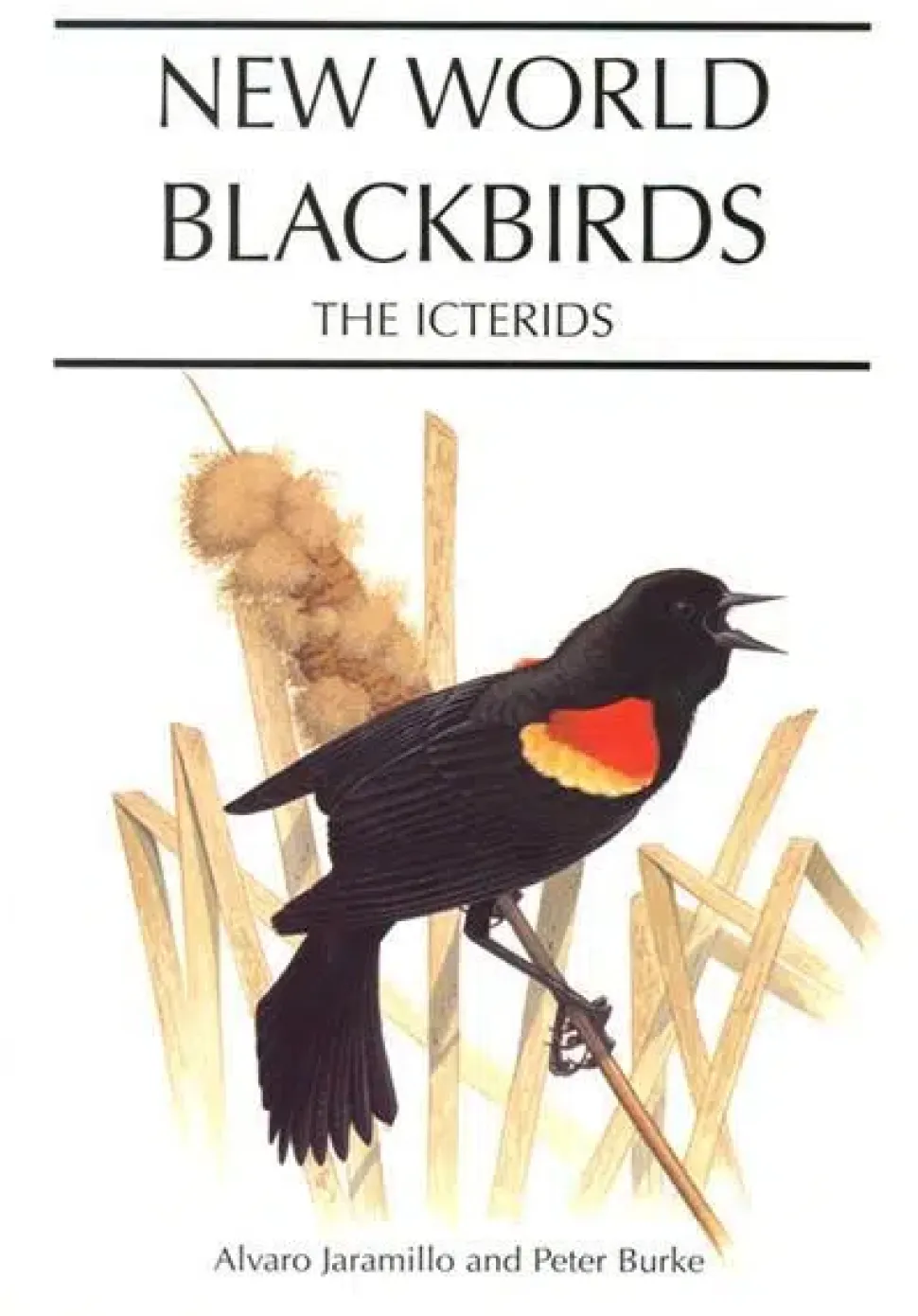 New World Blackbirds | Bog