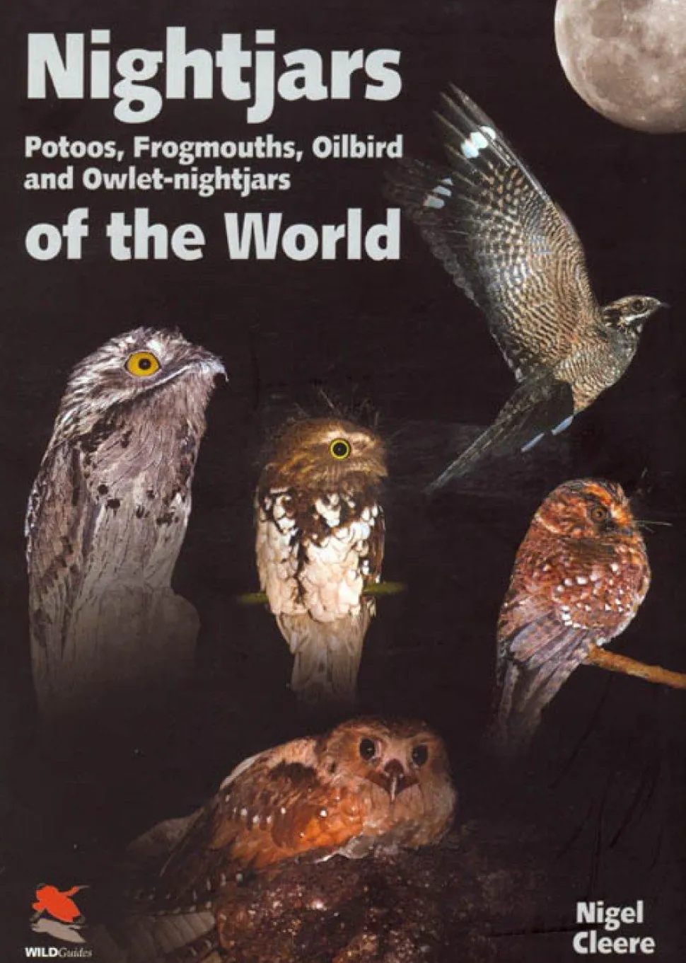 Nightjars of the World – Potoos, Frogmouths, Oilbird and Owlet-nightjars | Bog