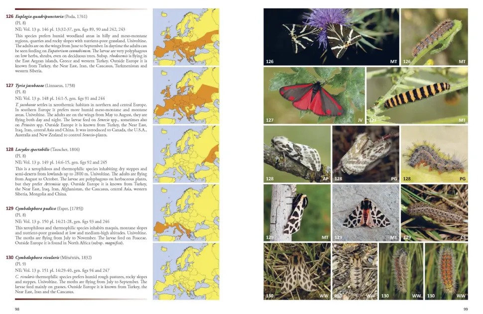 Noctuidae Europaeae – Europas natsommerfugle | Bog