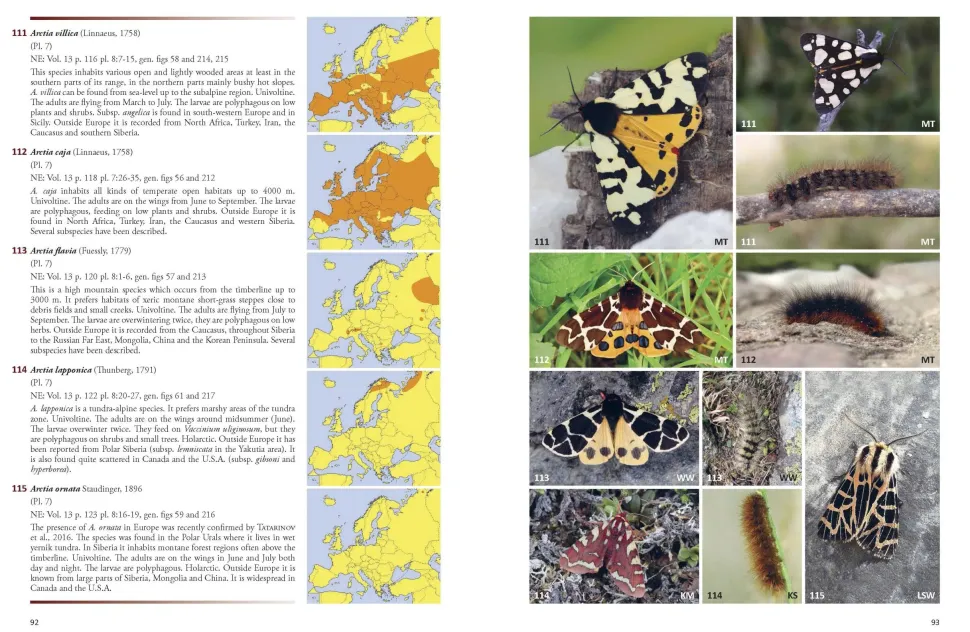 Noctuidae Europaeae – Europas natsommerfugle | Bog